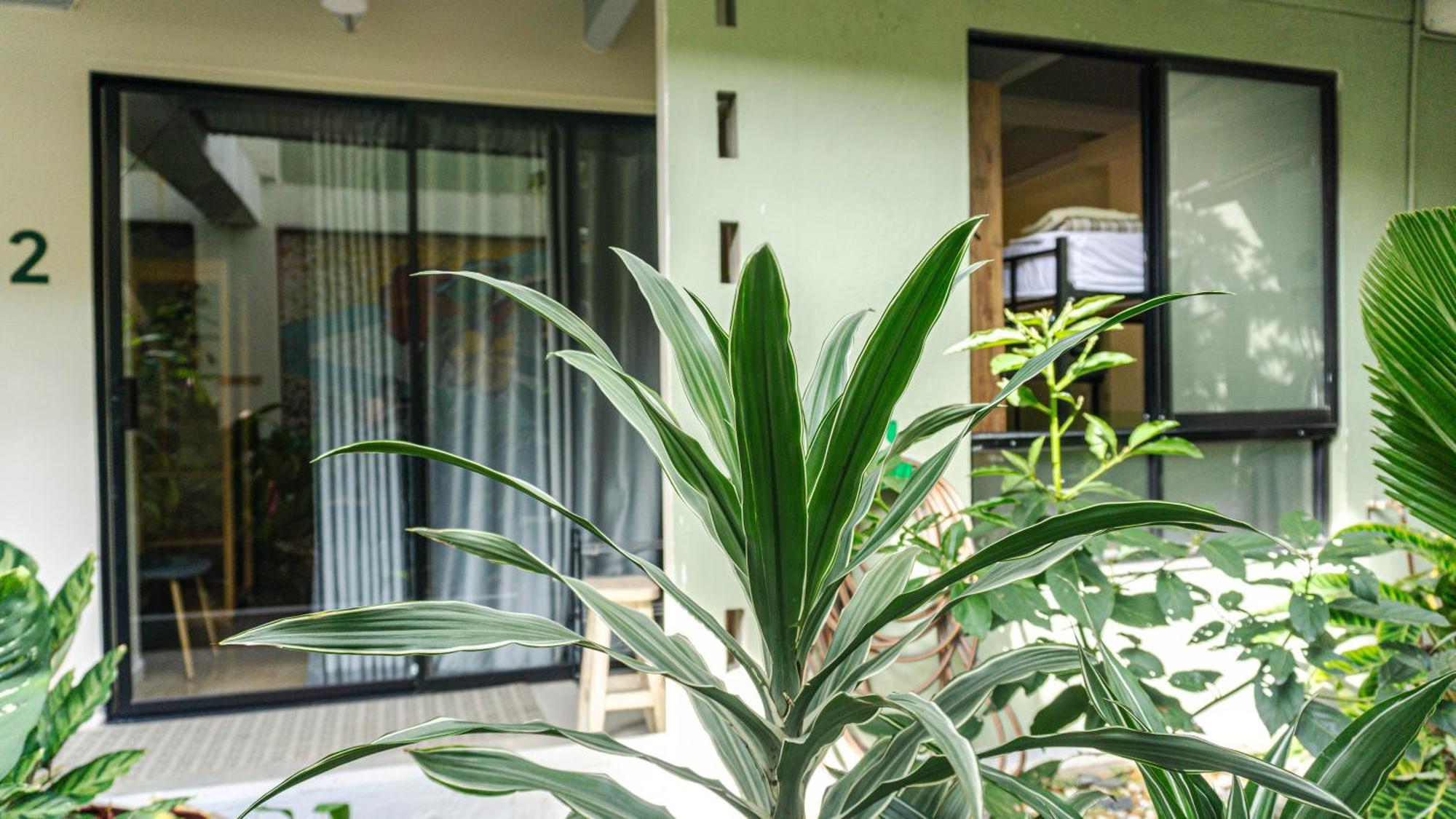 Selva House Bed and Breakfast Medellín Buitenkant foto