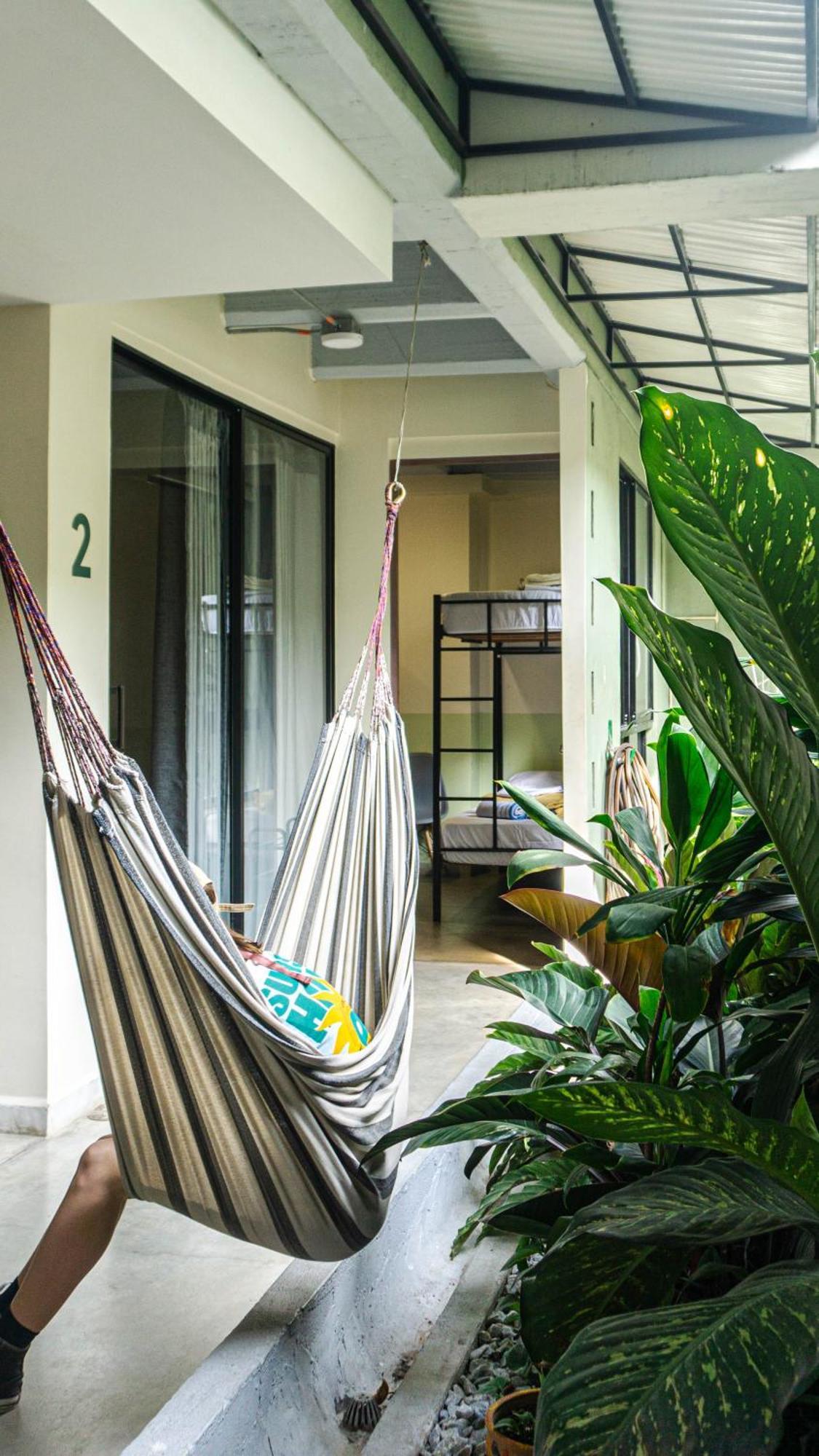 Selva House Bed and Breakfast Medellín Buitenkant foto