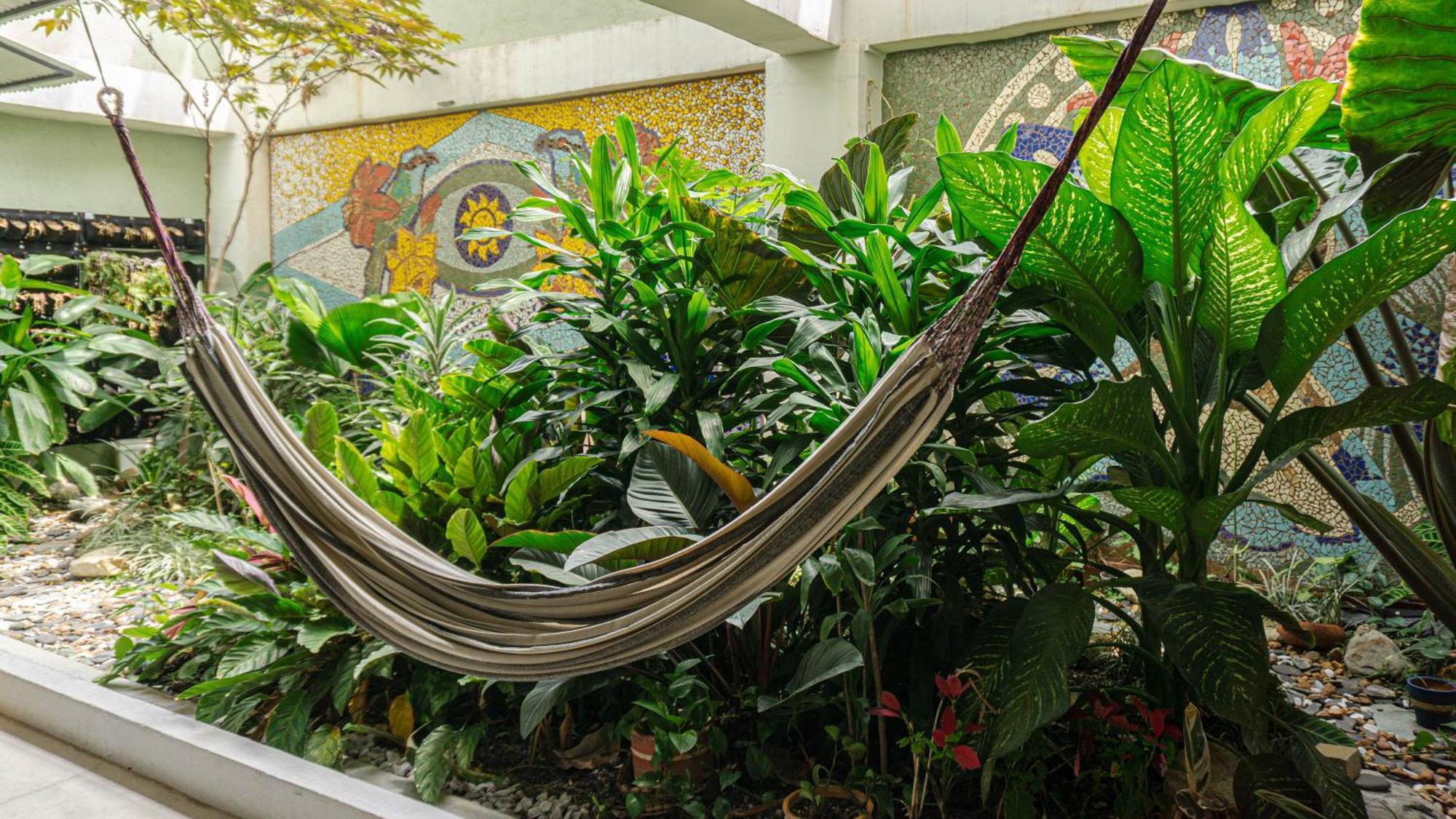 Selva House Bed and Breakfast Medellín Buitenkant foto